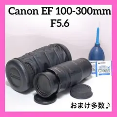 Item thumbnail for item f0f3932b-9fc4-4c29-b252-e1defe1cff40