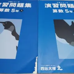 演習問題集 算数 5年 四谷大塚上下2冊セット