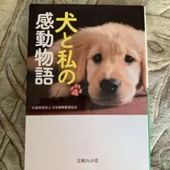 犬と私の感動物語