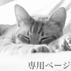 Item thumbnail for item c29e9b52-de51-42a3-a8a9-84b830843635