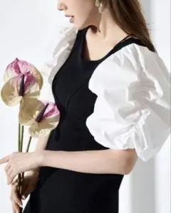 Item thumbnail for item 8cf3dede-eb3b-45fa-ae0f-011e8198e7e5