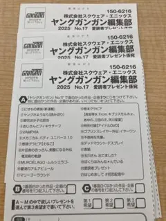 ヤングガンガン　えなこ　応募葉書　応募券