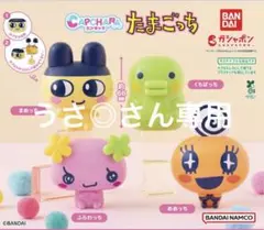 うさ◎さん専用