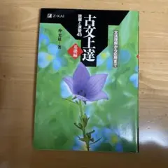 古文上達 基礎編 読解と演習45