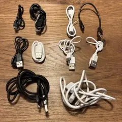USB Type-C Lightning 充電ケーブルセット 黒白 10本セット