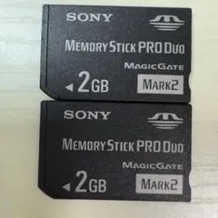読み込み動作確認済 SONY純正メモリースティックデュオ2GB2枚