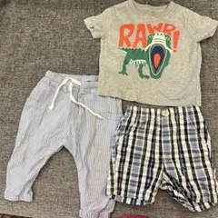 恐竜Tシャツとボトムス2枚セット