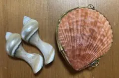 シェル　小物入れ　オブジェ