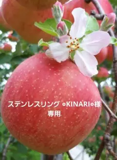 ステンレスリング ◎KINARI◎様専用