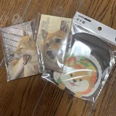 Item thumbnail for item e72dcc53-8822-4c90-981f-5e182dc8c2ca