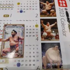 1月場所限定 豊昇龍関 カード