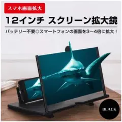 スマホ画面拡大鏡 黒 スクリーン拡大鏡 12インチ スマホスタンド スマホケース