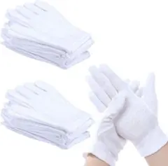 Item thumbnail for item 0bed98de-c9f3-415a-ad73-bf8184f41067