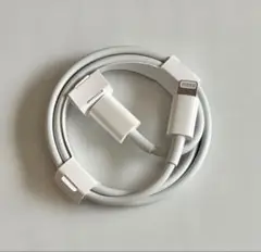 Apple純正　Lightning USB typeCケーブル 新品未使用