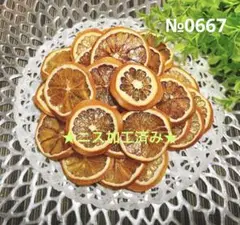ドライオレンジ　ドライフルーツ　花材素材　№0667