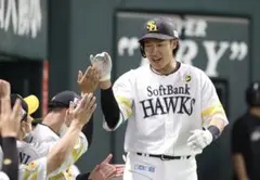 福岡ソフトバンクホークス 柳田悠岐 フォト (ポストカードサイズ)4枚セット