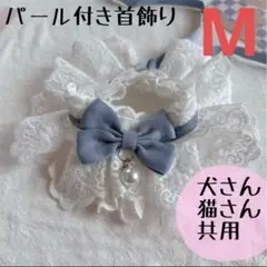 Item thumbnail for item da4b2254-5d76-4a98-b63a-31c85787dff0