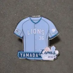 埼玉西武ライオンズ　山田陽翔