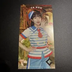 ギャンパレ キャ・ノン サンリオピューロランド 特典券 半券