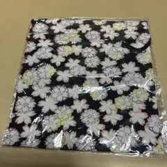 Item thumbnail for item 22651cc2-1a6d-486b-b67e-4fb057ba391d