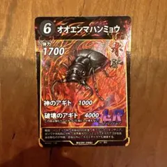 蟲神器　オオエンマハンミョウ
