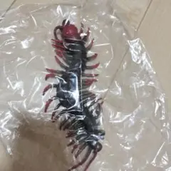 ムカデ1匹　百足 柔らかい