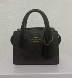 COACH ミニキャリーオール ダークブラウン ショルダーバッグ