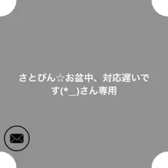 さとぴん☆お盆中、対応遅いです(*__)さん専用