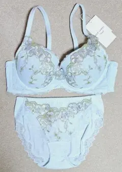 レッドレーベル バイ トリンプ　0111 ブラジャーショーツセット　C80