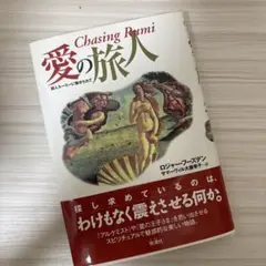 愛の旅人 Chasing Rumi