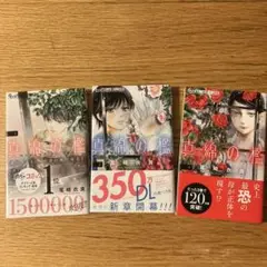 真綿の檻1〜3巻の3冊セット