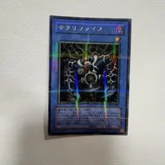 【良品】サクリファイス　ウルパラ　希少！人気！