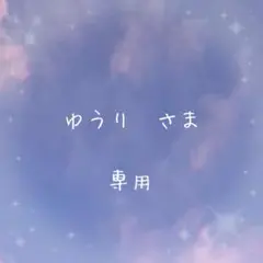 専用ページ