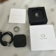 SOXAI RING 1 シルバー サイズ18