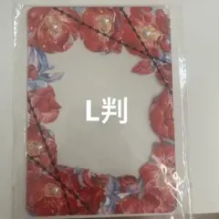 トレカ　デコ硬質ケース　L判