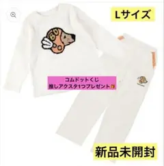 人気提案 Birdog pajamas setup / バードッグパジャマ