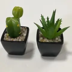 ミニ　多肉植物　サボテン　造花　ガチャ