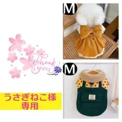 Item thumbnail for item 4554e9c0-eb26-491b-a0e0-9502656d79d3