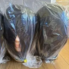 Item thumbnail for item 28e6d6c2-1f24-42a1-ba4c-3e7ede4af872