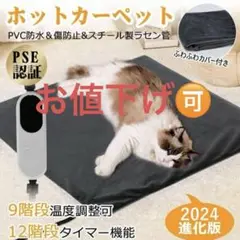 Item thumbnail for item a9c59527-d872-4ad7-844f-1ccdd2d17fee