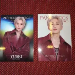 FANTASTICS BUTTERFLY 八木勇征 フォトカード 2種類セット