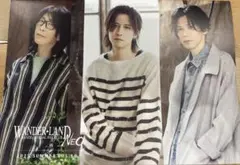 ワンズ　WANDS ファンクラブ会報　最新版