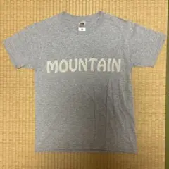 【美品】FRUIT OF THE LOOM MOUNTAIN Tシャツ Sサイズ