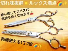 切れ味抜群カットシザーセニングシザー美容師プロ用ハサミトリマー良トリミングシザー