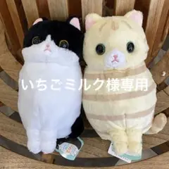 ハチワレねこのモリーBIG ✴︎2種セット✴︎