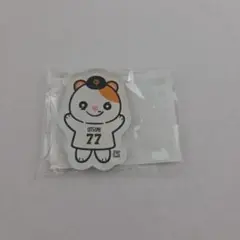 読売ジャイアンツ 内海哲也コーチ パペット テツ☆スター アクリルマグネット①
