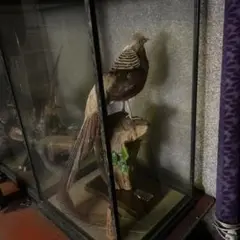 鳥の置物