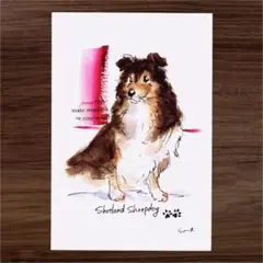 イラスト 原画 ポストカード 絵 【シェルティー】22