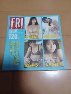 FRIDAY　DVD付属品
