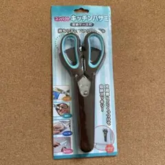 Item thumbnail for item 726cf458-592c-4c76-bcf8-b208c4c2df45